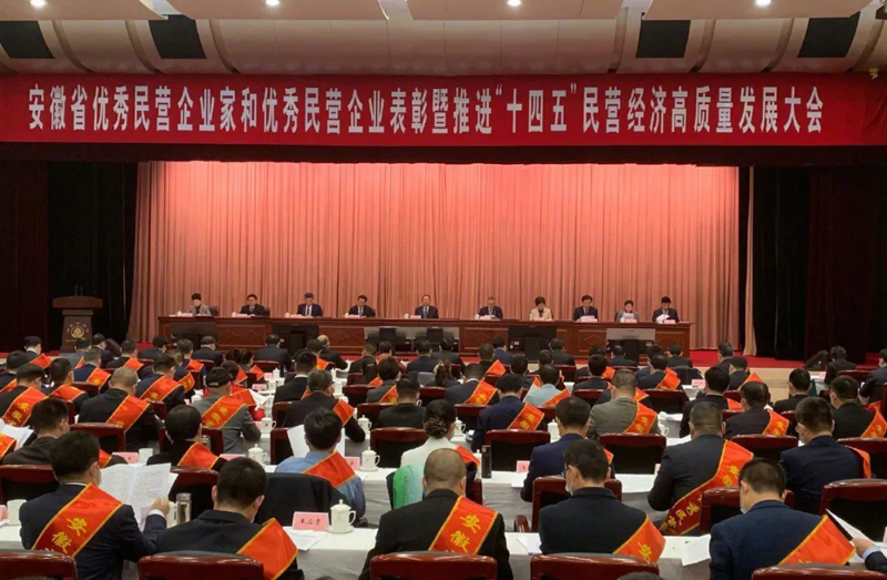 喜訊！元琛科技總經(jīng)理梁燕被授予“安徽省優(yōu)秀民營企業(yè)家”稱號